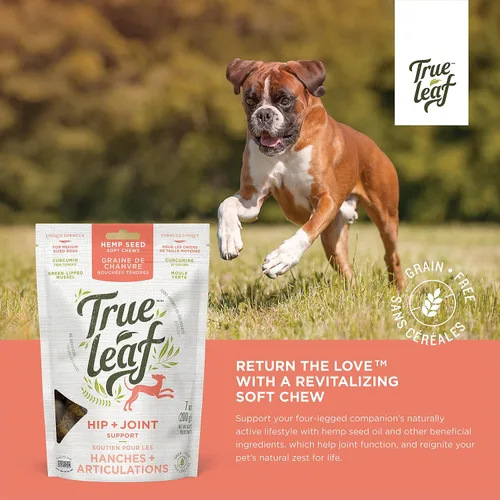 Vista 3 de True Leaf Pet Hemp Hip + Joint Chews 7.05 oz - Apoya la movilidad con ingredientes naturales - Mejillón de labios verdes, extracto de cúrcuma
