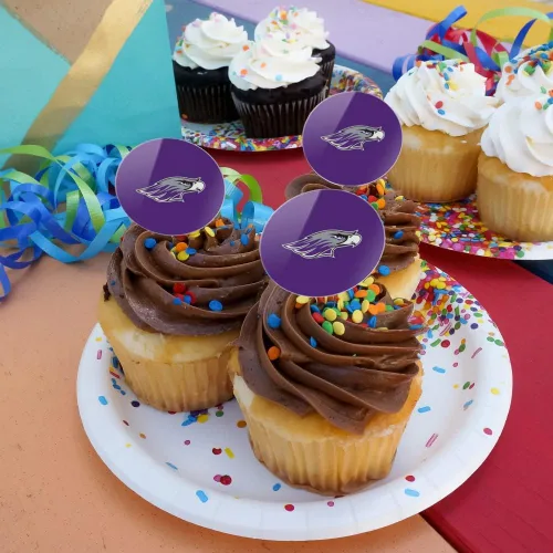 Vista 367 de GRAPHICS & MORE Abilene Christian Primary Logo Cupcake Picks Toppers Decoración Set de 6 Universidad Cristiana de Abilene