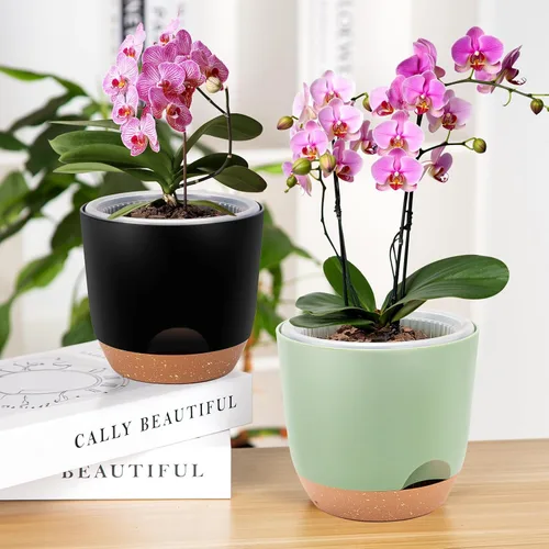 Vista 4 de Macetas de orquídeas de riego automático para plantas de interior, macetas para orqudeas de 5.8 pulgadas, macetas para plantas de interior con Verde