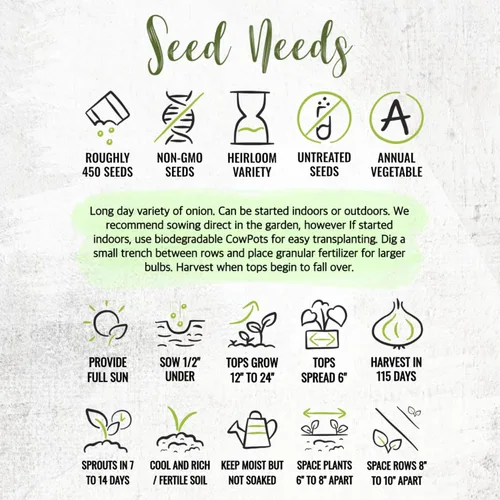 Vista 8 de Seed Needs Semillas de cebolla para plantar cebollas amarillas dulces españolas de día largo – Semillas de verduras sin OMG y sin tratar