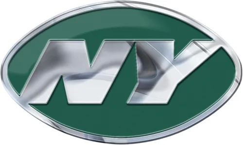Vista 27 de FANMATS Emblema de Color Automático de la NFL