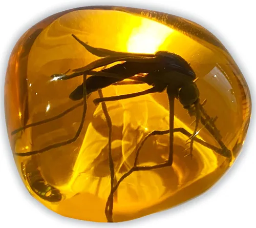 VEOJEIN Mosquito in Amber Fossil Réplica peso ligero - Ventana antigua del ADN - Reliquia de la era del dinosaurio - Artefacto de resina premium -