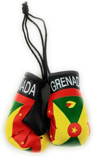 Vista 31 de Mini Guantes de Boxeo Colgantes para Espejo de Coche (Argentina)