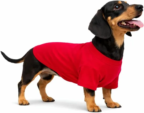 Vista 58 de Lovelonglong 2019 - Ropa para mascotas, Disfraces para Perro, Ropa Camisetas en blanco para Perros Grande Medianos Pequeños 100% Algodón 18