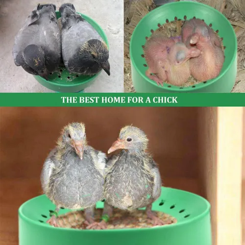 Vista 6 de Nido de paloma, 10 cuencos de plástico para nido de pájaros, cuenco de nido de paloma, nido de cría para palomas, codornices cría de eclosionados