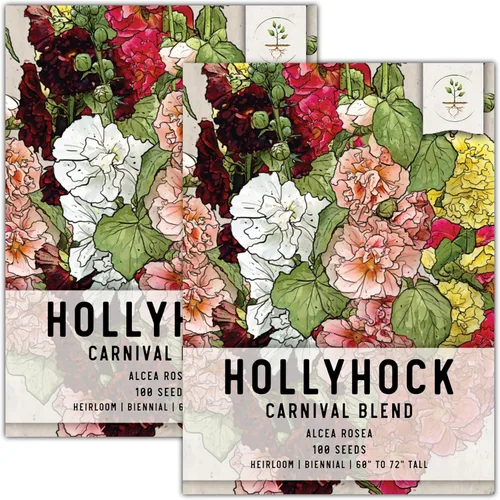 Vista 14 de Seed Needs, Semillas mixtas de Hollyhock Carnival - Semillas tradicionales para plantar Alcea rosea - Flor silvestre bienal que atrae a
