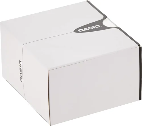 Vista 5 de Casio LTPV001SG-9B Reloj de cuarzo de acero inoxidable plateado para mujer