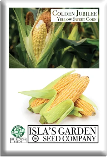 Golden Jubilee - Semillas de maíz dulces amarillas para plantar, más de 30 por paquete, semillas de jardín de Isla, sin OMG y reliquia, nombre