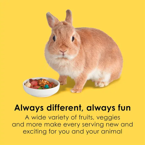 Vista 3 de Kaytee Fiesta Comida para Conejos, mezcla nutritiva y divertida, apoya la salud dental y la digestión, 3.5 libras