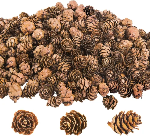 Vista 5 de Deloky 400 piezas de mini piñas naturales de Navidad, adornos de piñas de Acción de Gracias, rellenos de jarrón de piñas pequeñas de otoño