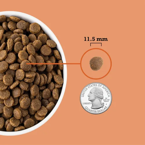 Vista 5 de ACANA - Receta para cachorros de perro, 4.5 libras Alimento seco para perros con alto contenido en proteínas y sin cereal, el embalaje puede variar