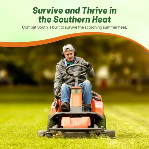 Vista 5 de Outsidepride Combat Extreme Southern Zone - Semillas de césped para césped – 5 libras. Mezcla tolerante al calor y la sequía SPF 30 de festuca tipo