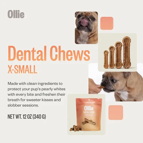 Vista 3 de Ollie Masticables dentales para perros extra pequeños, 12 onzas, aliento fresco, golosinas de limpieza de dientes, palos para el cuidado bucal