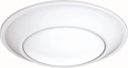 Juno SlimBasics - Lámpara de techo LED de 4 pulgadas, luz LED descendente de montaje en superficie para luz de ducha o iluminación de armario, Blanco