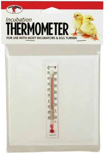 Little Giant® Kit de termómetro de incubadora | Medida de temperatura para la incubadora interior al incubar huevos | Termómetro de incubación