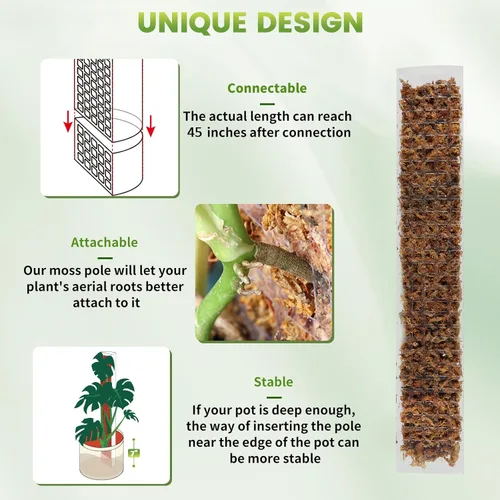 Vista 3 de EOX 2 postes de musgo de plástico de 24 pulgadas para Monstera, postes grandes en forma de D para plantas trepadoras, funcionan con musgo esfagnum