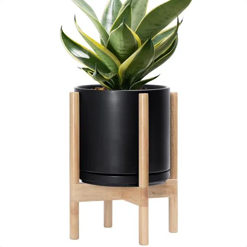 Vista 98 de D'vine Dev Maceta de cerámica con soporte de ébano – Maceta redonda moderna de 8 pulgadas con soporte para maceta de madera, color negro, 55-B-M-2
