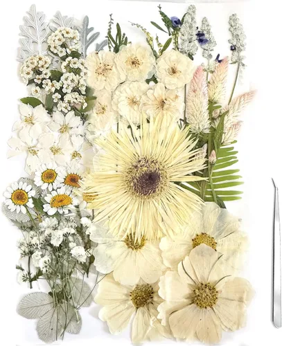 Flores secas prensadas grandes A4 para flores prensadas de resina, flores naturales secas reales, hojas para molde de resina, pasteles, velas Blanco