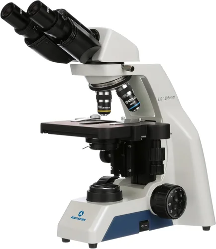 Microscopio compuesto EXC-120-3 de Accu-Scope - cabeza binocular, aumento 40-400X, objetivos del acromato, etapa mecánica