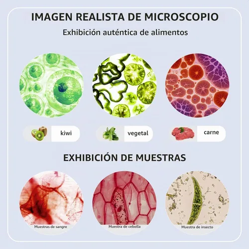 Vista 8 de Microscopio trinocular 40x-2000x Ampliación de doble capa con luces LED en la parte superior e inferior, perillas de enfoque dual gruesas