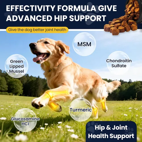 Vista 5 de Suplemento para cadera y articulaciones para perros, probióticos para perros, glucosamina, condroitina, MSM, masticables para alivio del dolor