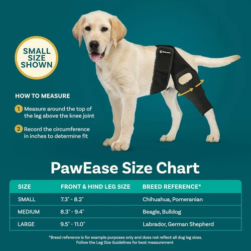 Vista 4 de Rodillera para perro para desgarrarse Acl patas traseras de perro para patas traseras tamaño mediano para perro Acl soporte para pierna trasera