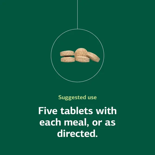 Vista 5 de Standard Process Bio-Dent - Suplemento dietético para la salud esquelética - Apoyo a la función dental y ósea - Suplemento esquelético y de colágeno