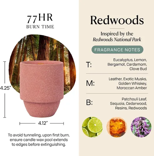 Vista 3 de Paddywax Parks, vela perfumada de Redwoods en frasco de cerámica reutilizable con mecha de madera crepitante, vela de soja con aproximadamente 77