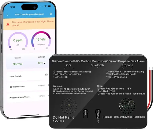 Vista 9 de Alarma de monóxido de carbono y gas propano para RV, detector dual LP/CO Briidea con luz indicadora LED separada, alarma fuerte de 100dB, 12 VDC