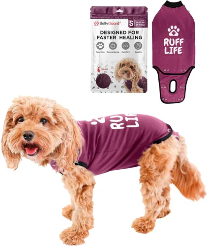 Vista 13 de BellyGuard Traje de recuperación de cirugía para perros, mameluco para perros para cuidado posoperatorio, ropa de recuperación para hembras