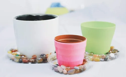 Vista 5 de TRUEDAYS Paquete de 5 platillos transparentes de 6 pulgadas, bandeja para macetas, excelente para plantas de interior y exterior