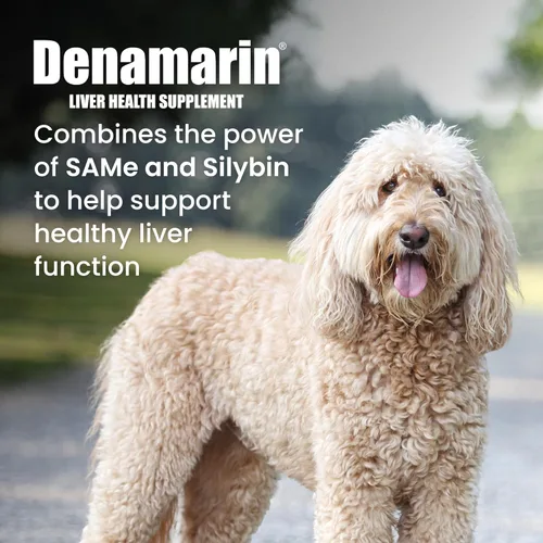 Vista 2 de Nutramax Denamarin Suplemento de salud hepática para perros grandes, con S-adenosilmetionina (SAMe) y silibina, 30 unidades (paquete de 1)