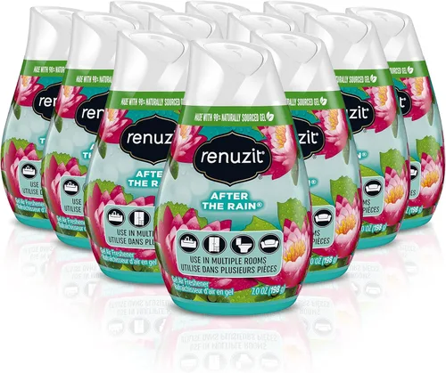 Renuzit - 1716906 03663 Ambientador ajustable, aroma After the Rain, sólido, 7 oz (caja de 12)