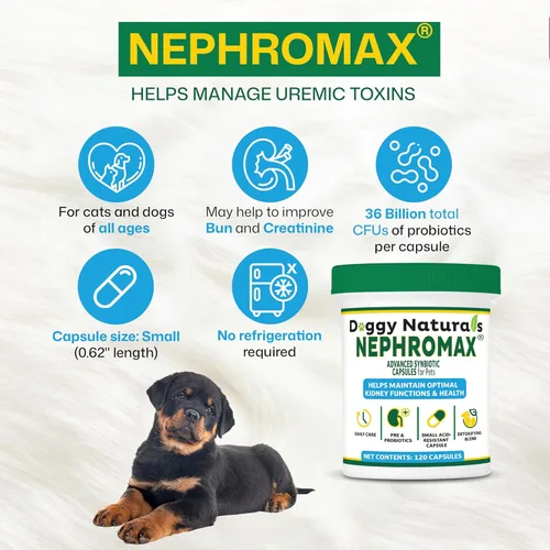 Vista 4 de Cápsulas Synbiotic para perros y gatos (240 cápsulas), suplemento de apoyo renal para gatos y perros, probióticos y prebióticos para la salud