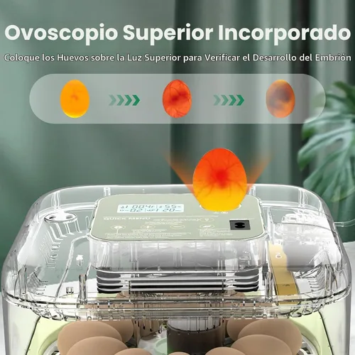Vista 5 de Incubadora de 12 huevos con pantalla de humedad y vela integrada, girador automático, control de temperatura y humedad, recarga automática de agua