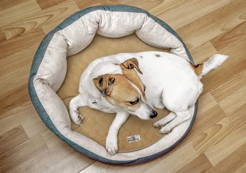 Vista 4 de Pet Parents® Pawtect® Almohadillas Lavables para Orina de Perros (Paquete de 2) de Almohadillas Premium para Orina de Perro, Almohadillas