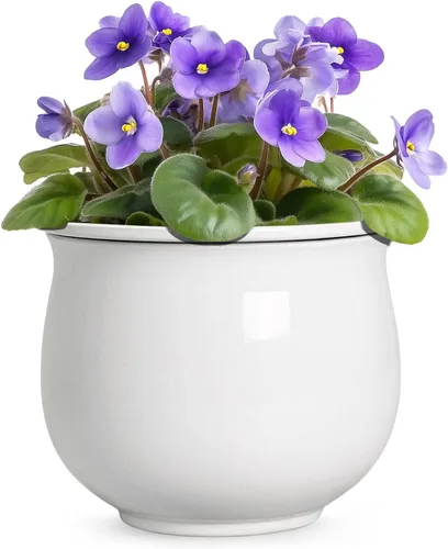 Vista 24 de Macetas de riego automático de 6 pulgadas para plantas de interior, macetas de cerámica violeta africana con maceta interior absorbente, maceta