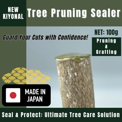 Vista 2 de Nuevo Sellador de Corte para Poda de Bonsái 100g Hecho en Japón
