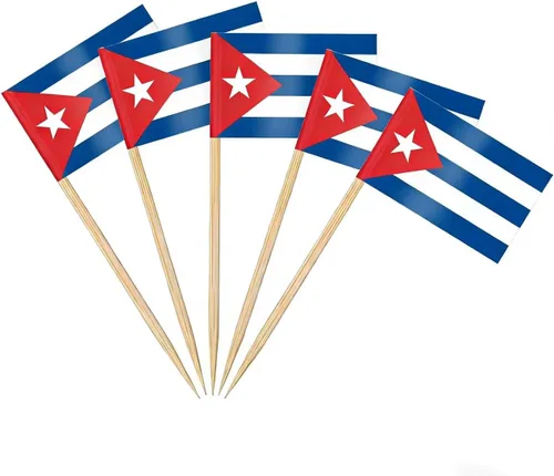 Vista 46 de AhfuLife Palillo de dientes con bandera de Argentina, 100 piezas de palillos de cóctel de Argentina, adornos para cupcakes argentinos