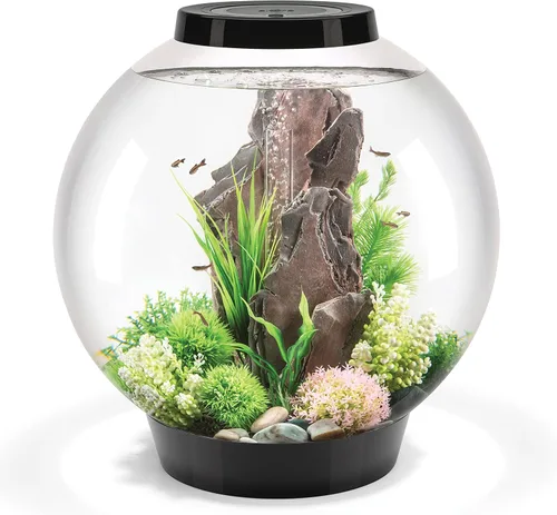 Vista 12 de biOrb Classic 15 Acrílico - Acuario de 4 galones con luces LED blancas - Tanque moderno y compacto para exhibición sobre mesa o escritorio, tanque