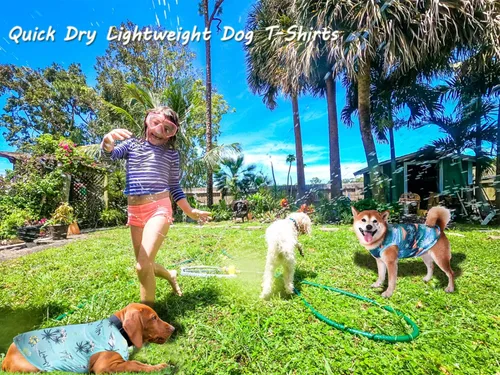 Vista 3 de Camisas hawaianas para perros, camisetas transpirables de malla de secado rápido para el verano, para niños pequeños, hembras, cachorros, chihuahua