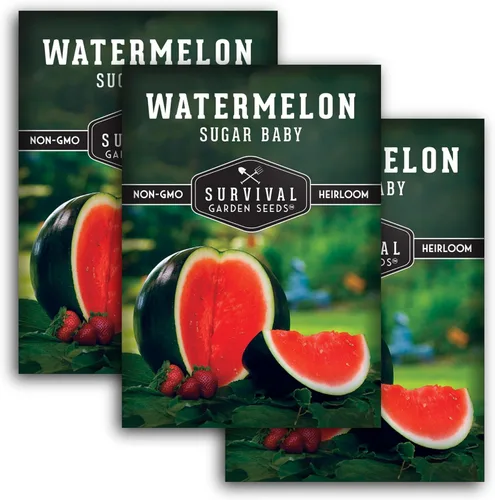 Vista 11 de Semillas de Jardín de Supervivencia - Semillas de Sandía Sugar Baby Cultive Pequeños Melones Redonditos de Nevera en Casa - Semillas Autóctonas