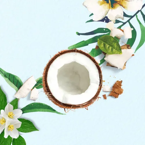 Vista 4 de Herbal Essences Champú hidratante con agua de coco y jazmín - 13.5 fl oz (paquete de 3)