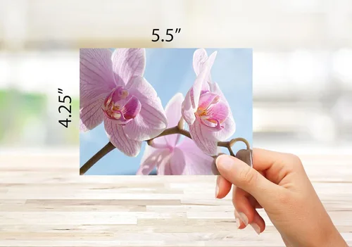Vista 3 de Small World Greetings Tarjetas de notas de flores de orquídea, 24 unidades, interior en blanco con sobres blancos, tamaño A2 de 5.5 x 4.25 pulgadas