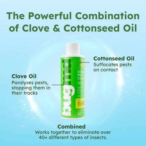 Vista 2 de BugMD matahormigas y concentrado de aerosol antiinsectos - Mata cucarachas y chinches de interior, aerosol para arañas para el hogar, defensa contra