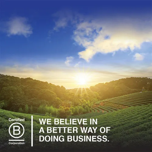 Vista 6 de Proteína Orgánica para Jardín de Vida, 1, 1