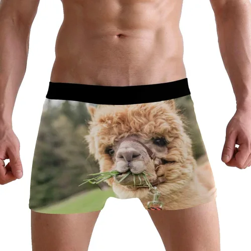 Vista 3 de ZZKKO Skull Llama - Calzoncillos tipo bóxer para hombre, transpirables, elásticos, con bolsa, tallas S-XXL