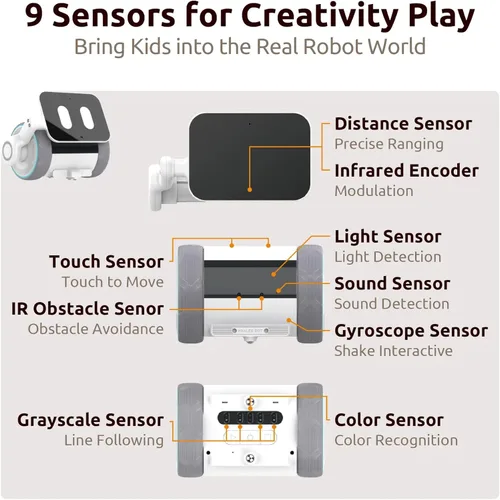 Vista 4 de WhalesBot Pubbo Air - Robot interactivo inteligente para niños, voz/táctil/aplicación/control remoto, codificación modular/rayada, robótico