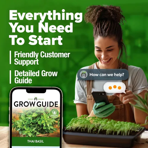 Vista 7 de HOME GROWN Paquete de semillas de albahaca tailandesa – 876 semillas de hierbas tradicionales de alta germinación para plantar, ideal para cultivar