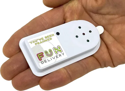 Vista 4 de FUN delivery Annoise Broma de broma de sonido molesto grabable oculto broma broma